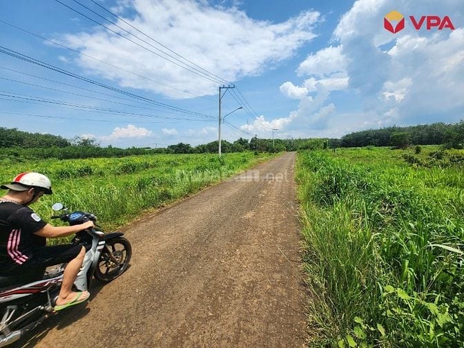 Thông báo đấu giá tài sản của bà Lê Thị Trang (Đồng Nai)