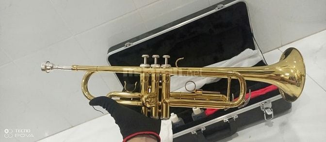 Thanh lý bán gấp 1 kèn Trumpet Lazer vàng