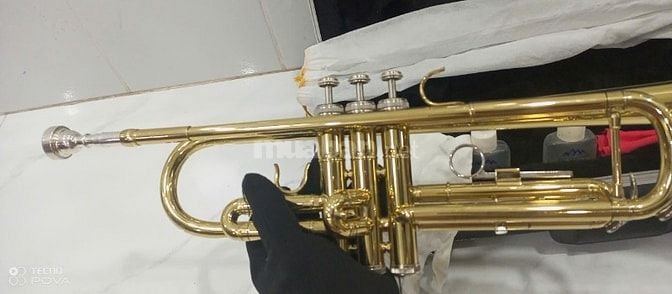 Thanh lý bán gấp 1 kèn Trumpet Lazer vàng