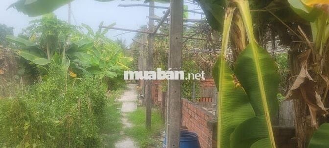 Mặt tiền kinh doanh đẹp cần cho thuê