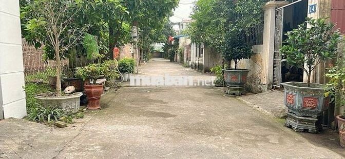 🎯 🎯Bán Nhà 2 Tầng 85m2 Đồng Chầm, Tiên Dược – Đường Thông Ô Tô tránh