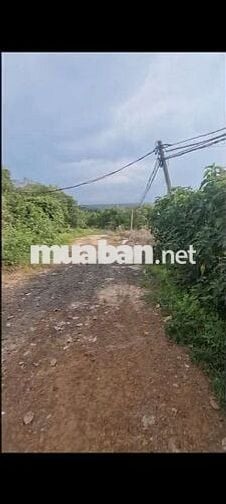 Bán 1 ha đất cách Siêu Thị Go , Buôn Ma Thuột , Đăk Lăk 23km