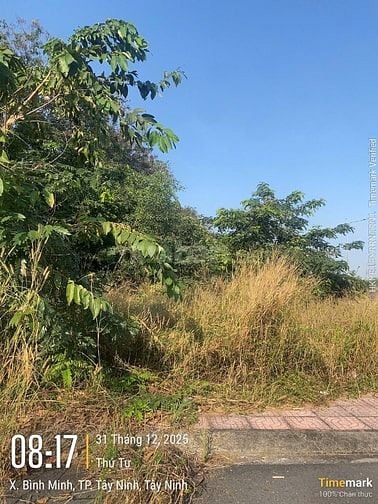 Thông báo đấu giá tài sản của bà Phan Thị Thục Anh (Tây Ninh)