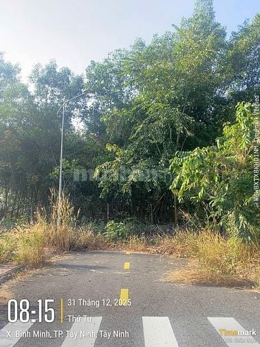 Thông báo đấu giá tài sản của bà Phan Thị Thục Anh (Tây Ninh)