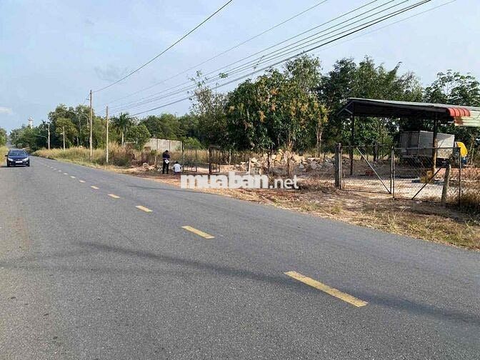 Đất mặt tiền đường nhựa diện tích rộng giá rẻ tại TPHCM