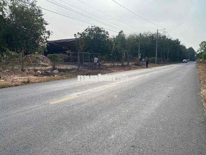 Đất mặt tiền đường nhựa diện tích rộng giá rẻ tại TPHCM