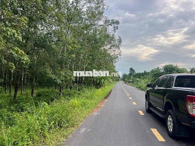 Bán Lô Trảng Bàng 10x60m2 gần đường Hồ Chí Minh