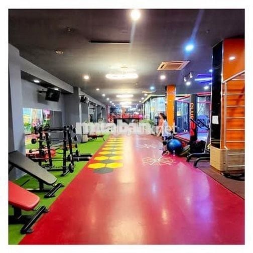 Tuyển Dụng Tạp Vụ Namm Phòng Gym Quận 5