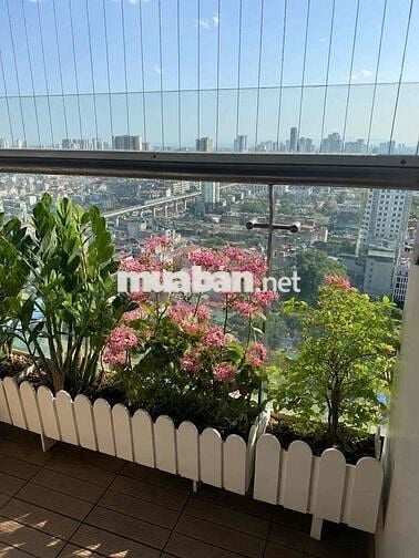 CC Bán căn 3PN Toà A Goldseason 47 Nguyễn Tuân