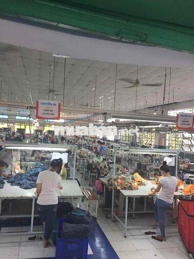 CHO THUÊ KHO XƯỞNG TÂN THỚI NHẤT GIÁ TỐT