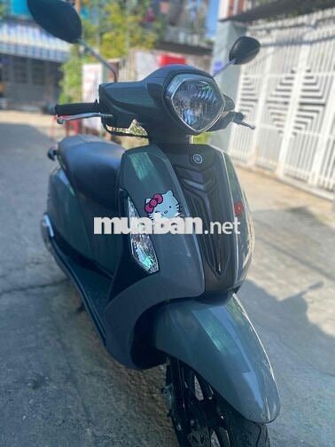 Yamaha Grande Xám Việt Nam