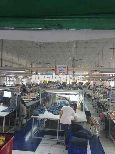 CHO THUÊ KHO XƯỞNG TÂN THỚI NHẤT GIÁ TỐT