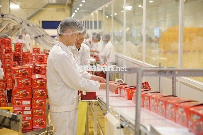 CN Thời vụ VSIP 1 - 11-13tr - Cố định ca - Bao cơm