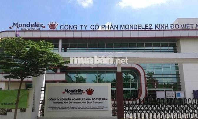 CN Thời vụ VSIP 1 - 11-13tr - Cố định ca - Bao cơm