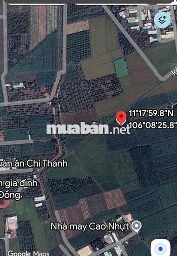 gần 5 công rưỡi đất sân cu, chỉ 550 triệu 1 công