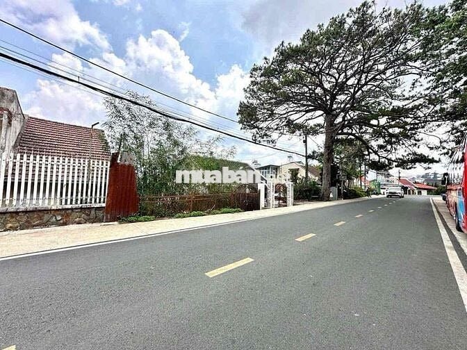 🏡Giảm 3 Tỷ Bán Gấp Đất Khu Phạm Ngọc Thạch - Cách Hồ Xuân Hương 1Km