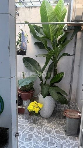 Nhà riêng 5PN, 6WC tại 124 Lê Thị Bạch Cát, bán 9 tỷ, 56m2 (CN 44,2m2)
