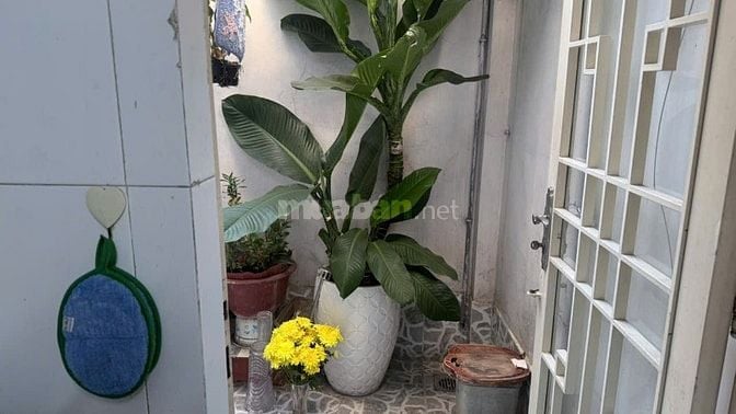 Nhà riêng 5PN, 6WC tại 124 Lê Thị Bạch Cát, bán 9 tỷ, 56m2 (CN 44,2m2)