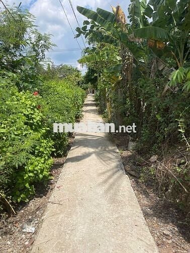 SỞ HỮU MẢNH ĐẤT VỚI GIÁ HƠN CHỈ 1 TRIỆU ĐỒNG