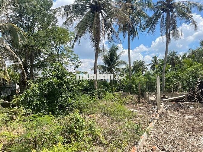 SỞ HỮU MẢNH ĐẤT VỚI GIÁ HƠN CHỈ 1 TRIỆU ĐỒNG