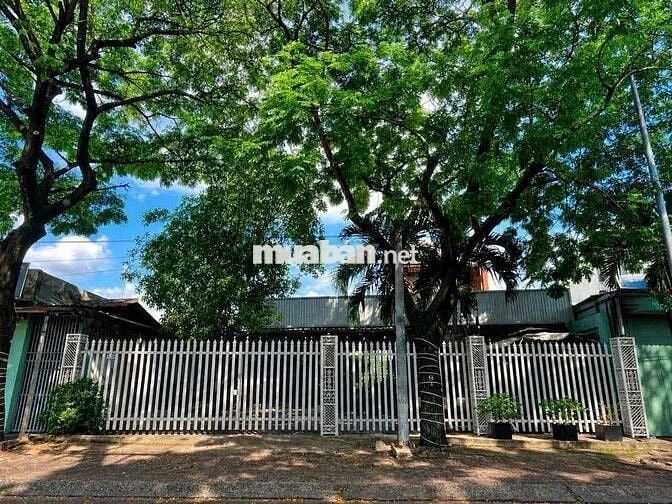 Cho Thuê Mặt Bằng Phú Thọ, Thủ Dầu Một  - Diện tích  : 14x45 (660m2) c