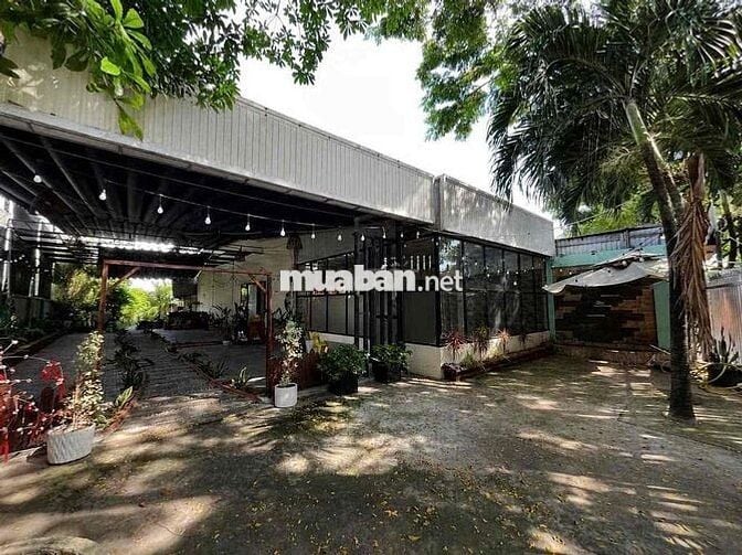 Cho Thuê Mặt Bằng Phú Thọ, Thủ Dầu Một  - Diện tích  : 14x45 (660m2) c