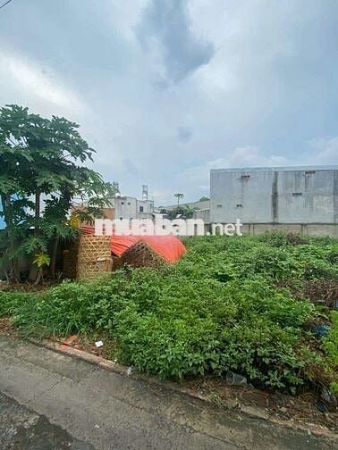 🔥 Chỉ 1.38 Tỷ Có Ngay Đất Sổ Riêng 60.9m2 Hố Nai Biên Hòa Thổ Cư 50m2