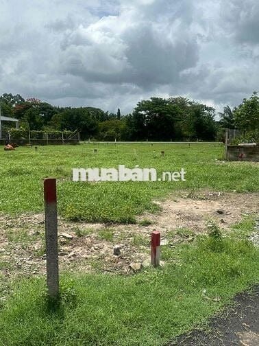Bán đất ngay chợ Củ Chi 120m2 full thổ cư sổ sẵn giá chỉ 800 triệu