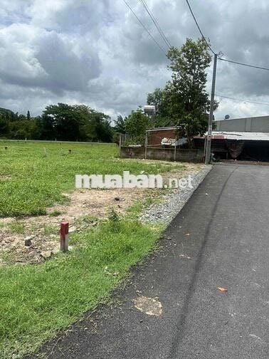 Bán đất ngay chợ Củ Chi 120m2 full thổ cư sổ sẵn giá chỉ 800 triệu