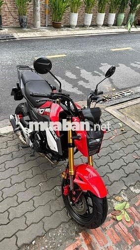Honda MSX 2019 Đỏ
