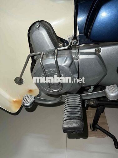 Honda Cub 1982 Xanh Trắng