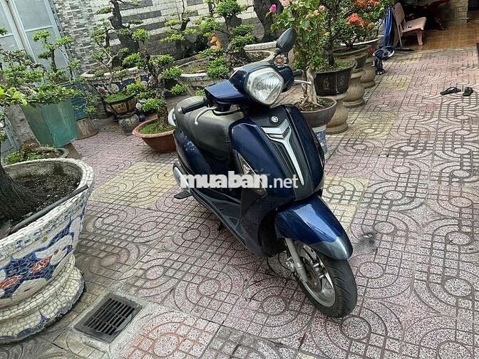Yamaha Grande 2015 Xanh