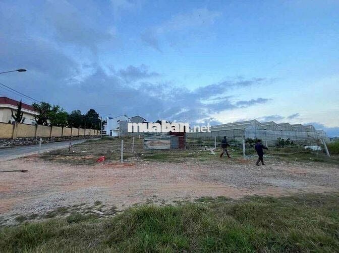 BÁN ĐẤT XD SỔ RIÊNG KQH BỆNH VIỆN NHI ,P7 , ĐÀ LẠT GIÁ TỐT - Diện tích