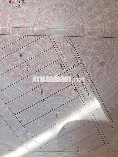 BÁN ĐẤT XD SỔ RIÊNG KQH BỆNH VIỆN NHI ,P7 , ĐÀ LẠT GIÁ TỐT - Diện tích