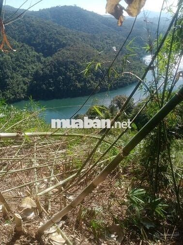 CHÍNH CHỦ CẦN BÁN GẤP 9,3 HA RẪY TÀ ĐÙNG
