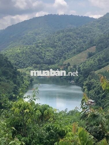 CHÍNH CHỦ CẦN BÁN GẤP 9,3 HA RẪY TÀ ĐÙNG