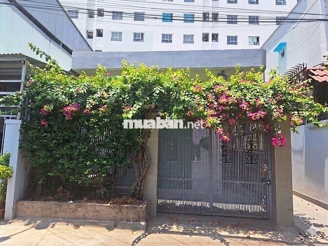 Cho Thuê Nhà Hẻm Ô Tô Đường 12 Trường Thọ 96m2 Phù Hợp Ở Kinh Doanh