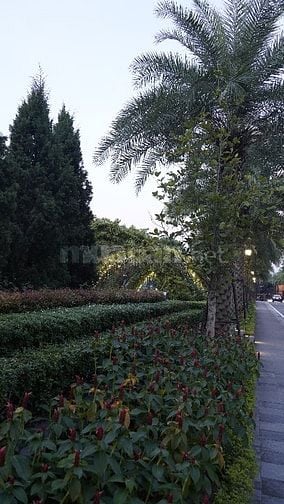 Biệt thự Chính Chủ tại Elegant Park Villa Thạch Bàn, đường Thạch Bàn, 