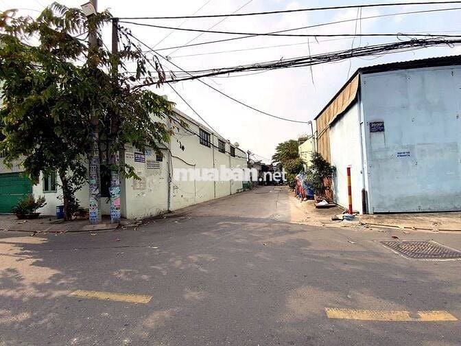 BÁN ĐẤT VÀNG HAI MAT TIỀN LỚN, CONTAINER, ĐẤT THỔ, CÓ TÀI SẢN XƯỞNG