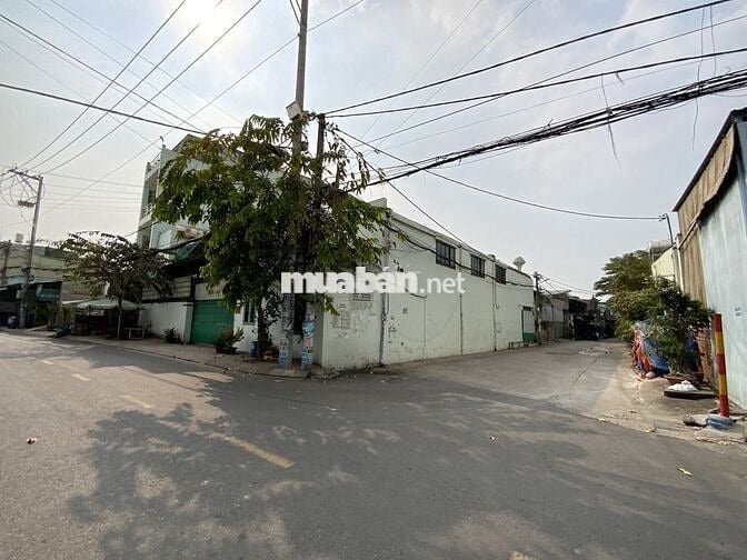 BÁN ĐẤT VÀNG HAI MAT TIỀN LỚN, CONTAINER, ĐẤT THỔ, CÓ TÀI SẢN XƯỞNG