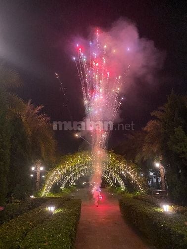 Biệt thự Chính Chủ tại Elegant Park Villa Thạch Bàn, đường Thạch Bàn, 
