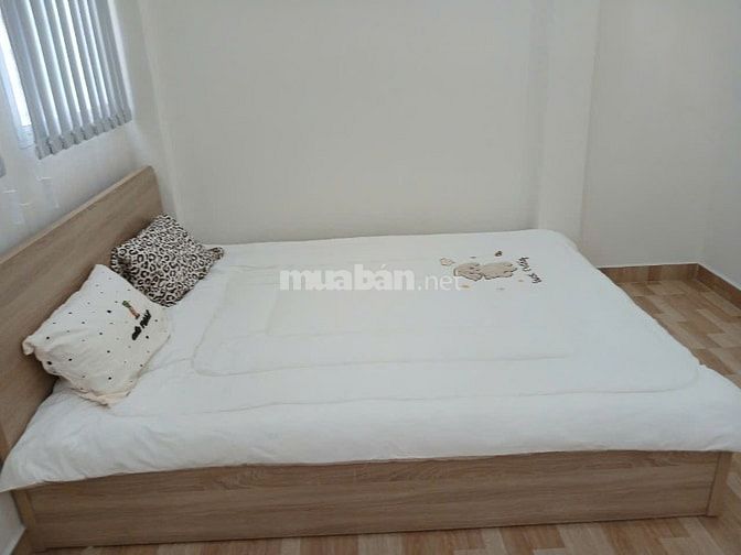 Cho thuê chung cư Trần Hưng Đạo, P.2, quận 5, đầy đủ NT , 3PN2WC.