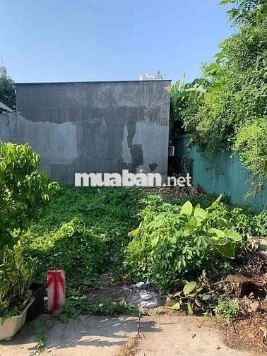 Quận 7 – 4 Tỷ 3 - Lô Đất 56m² - Ngang 4,6m- Đường 4m - Ngay UBND Phú T
