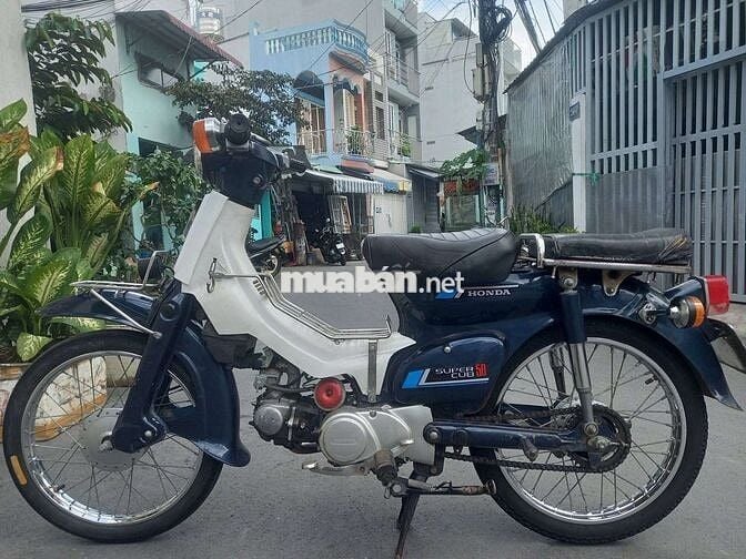 Honda Super Cub 81 50cc Xanh trắng