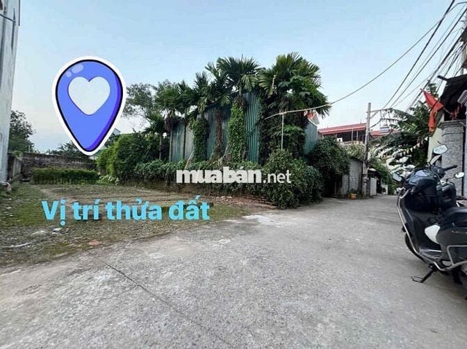 🔥 CHÍNH CHỦ CẦN BÁN: 147m² ĐẤT FULL THỔ CƯ - SÁT VÁCH ĐẠI DỰ ÁN VINGRO