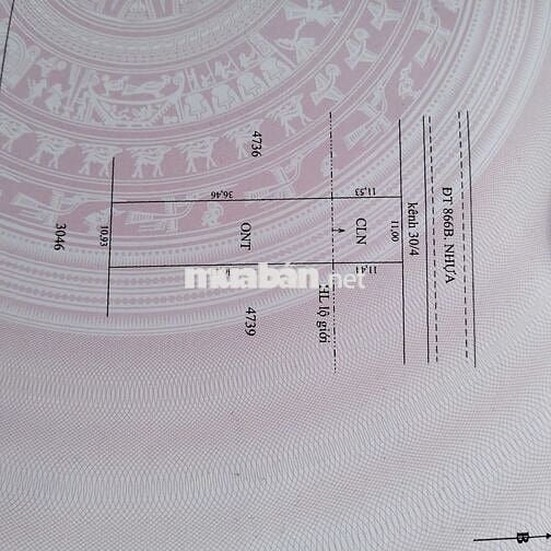 Đất mặt tiền đường 866b gần KCN Long Giang