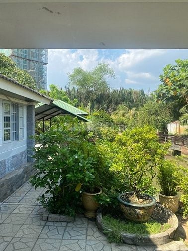 BÁN GẤP CĂN BIỆT THỰ VƯỜN, GIÁ RẤT RẤT TỐT