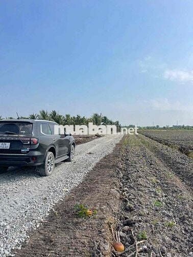 Đất vườn 1000m2 giá chỉ 440tr, Tân Thành, Thủ Thừa