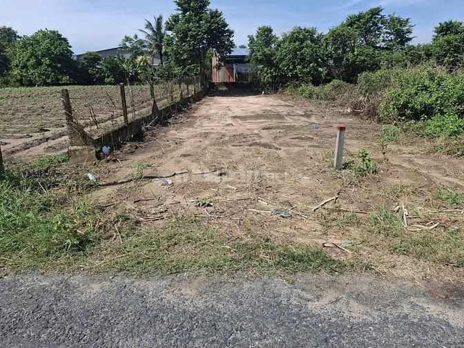 Đất mặt tiền nhựa Gò Dầu sát chợ Phước Thạnh
