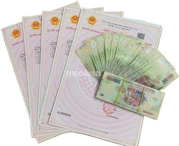 🔥 QUỸ ĐẤT HIẾM CÒN SÓT LẠI TẠI TRUNG TÂM HIỆP BÌNH THỦ ĐỨC – SỔ RIÊNG